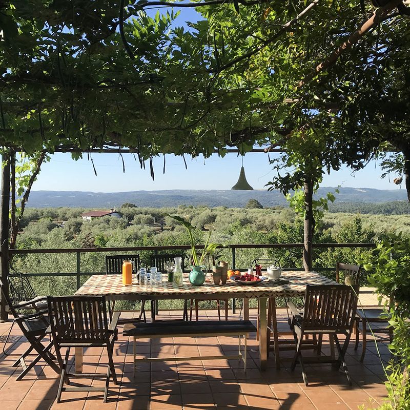 mesa_vista_olivar_nayana_yoga