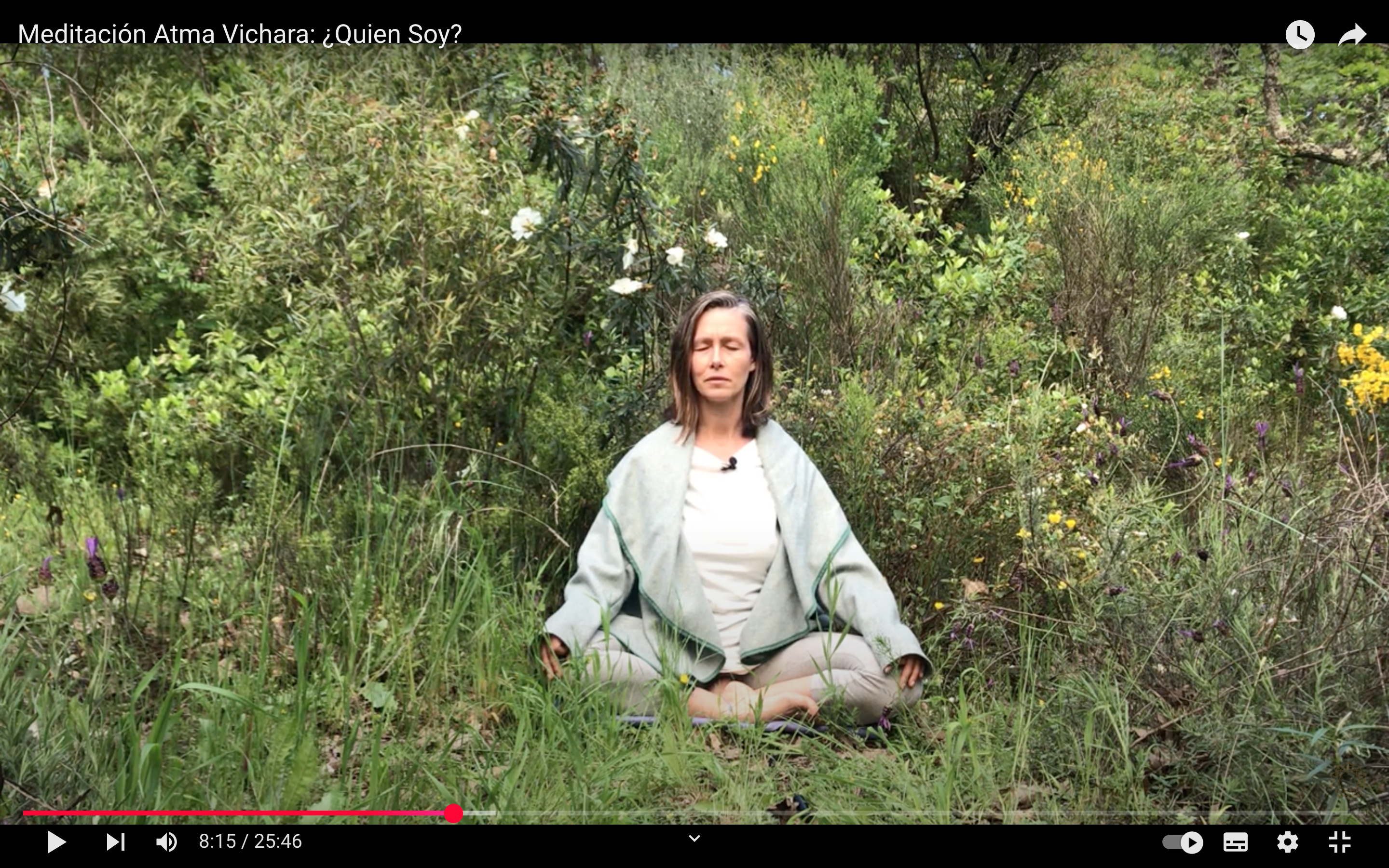 YOUTUBE NAYANA YOGA 3 ES
