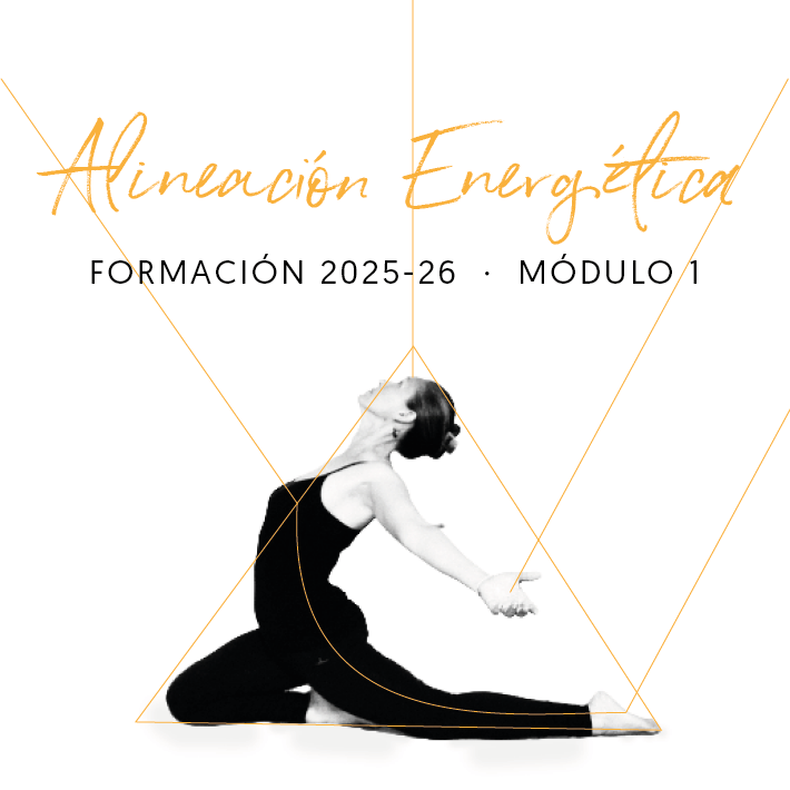 Alineación energética Modulo1
